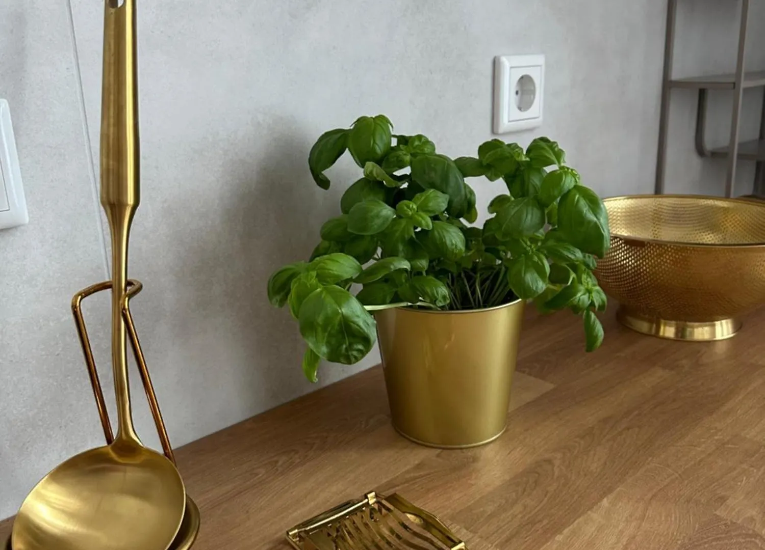 Premium-Apartment Im Duisburger Sueden, Naehe Duesseldorf Flughafen & Messe, Komplett Ausgestattetes Apartment Mit Modernen Altbau-Flair